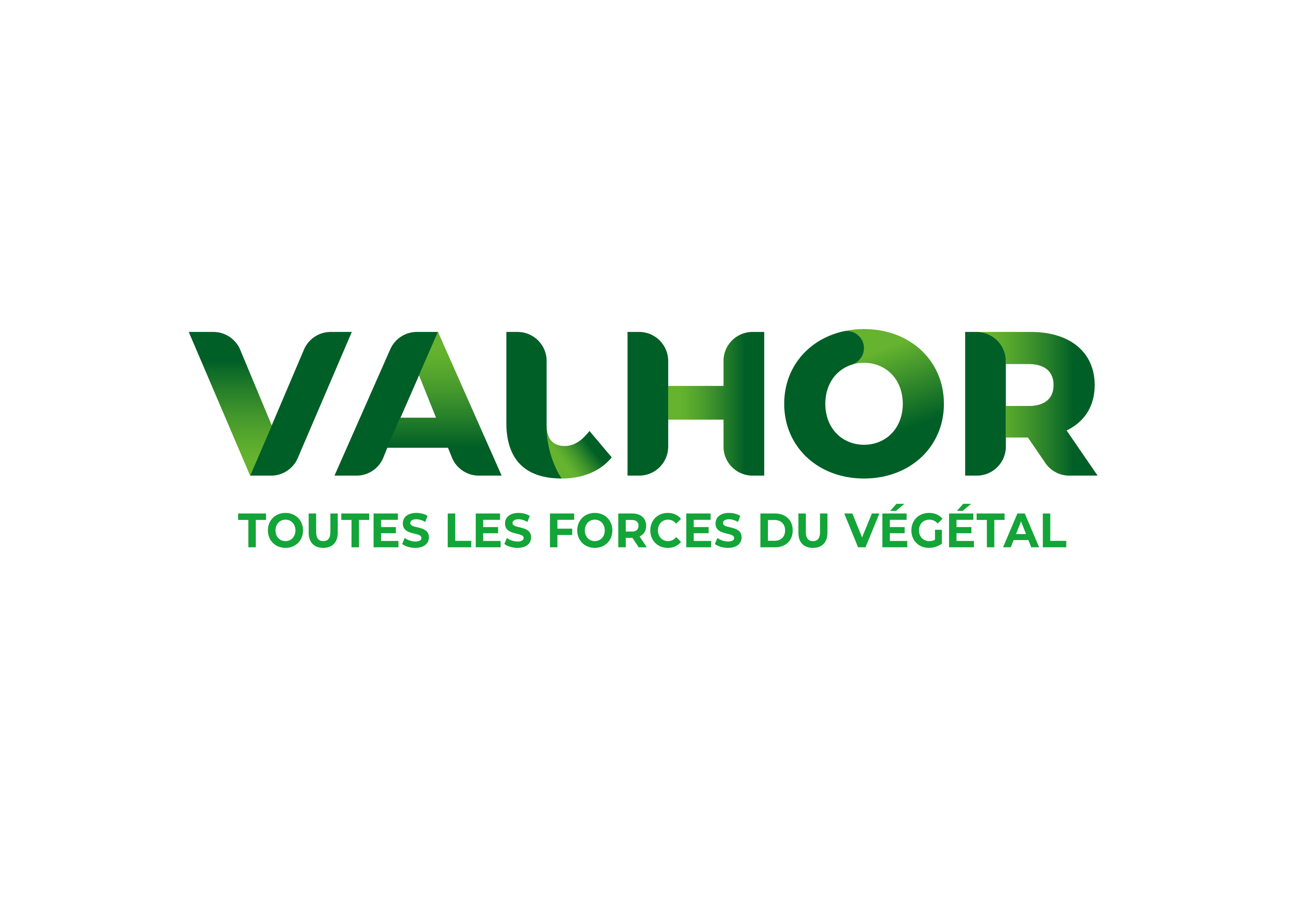 Logo VALHOR
